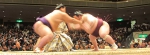 1-22大相撲初場所を観戦 (3).jpg